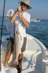 Characteristics of the redfish?